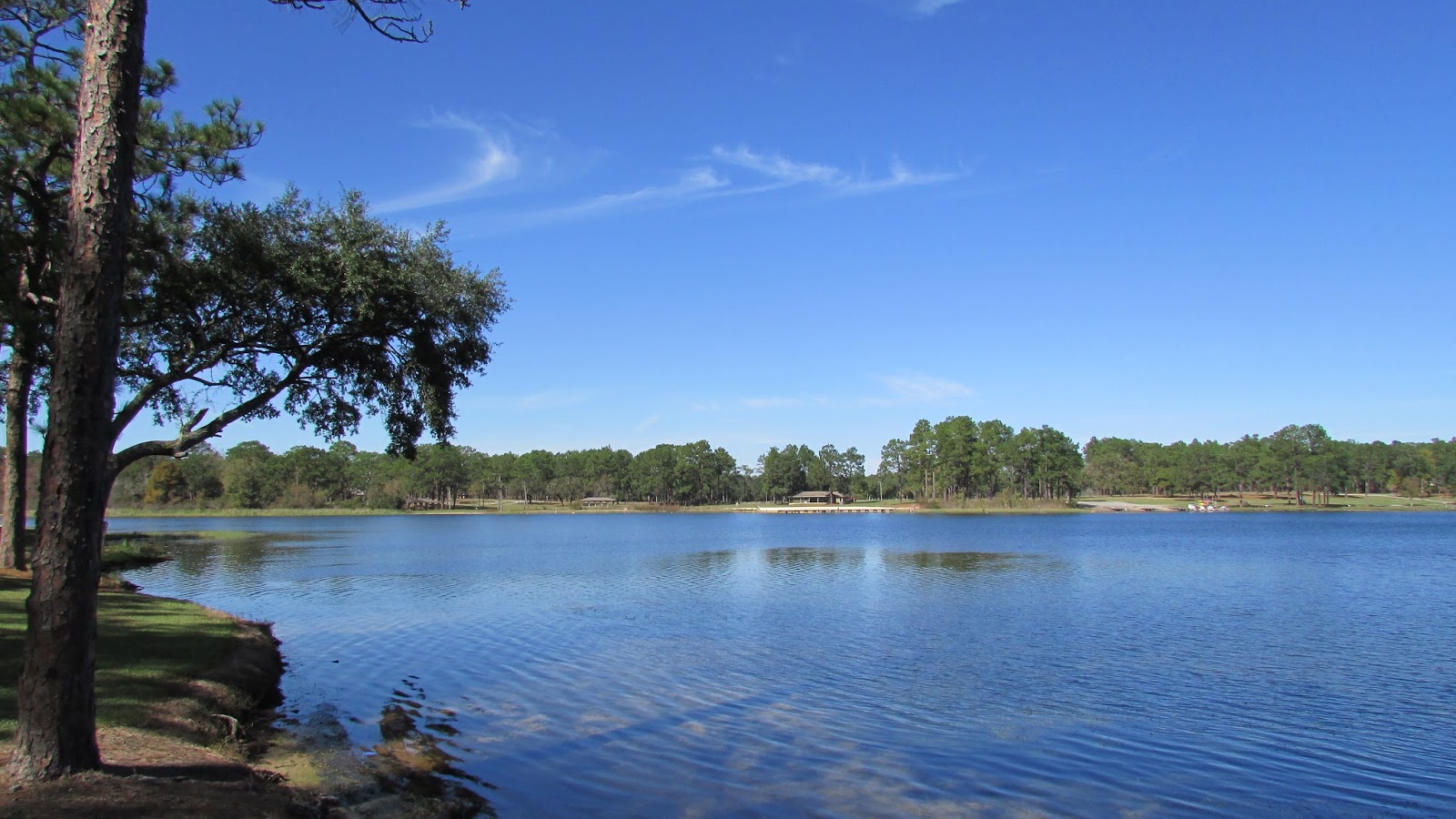 Adventures Of Toaster Seminole State Park, Donalsonville, GA.