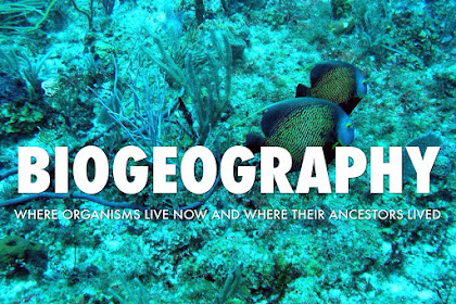 Bio-Geography for NET/SET (Set-1)