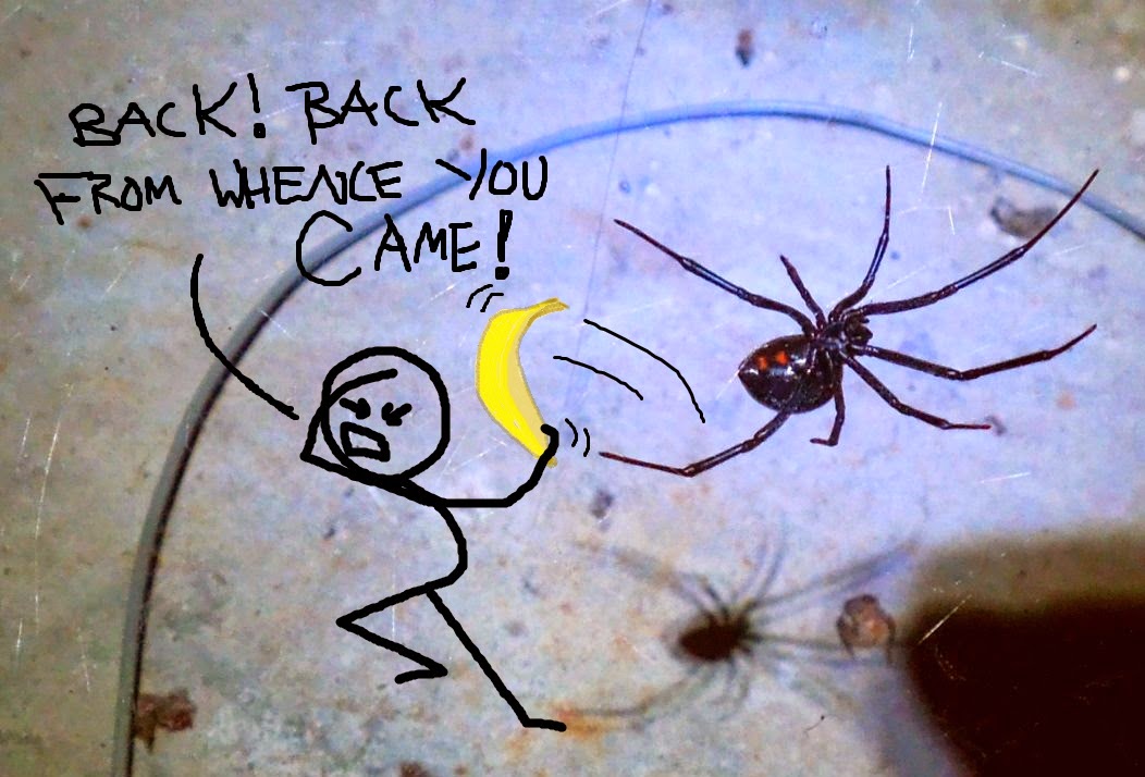 Raised by my daughter What to do when you find a black widow