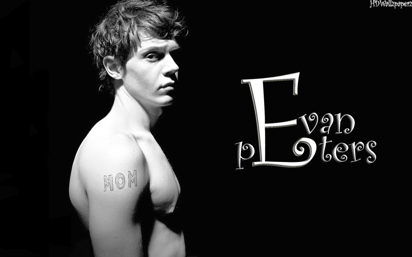 Evan Peters - HD Wallpapers