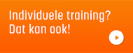 Individuele Training