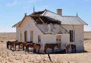 Ghost towns and wild horses of the African Namib Desert