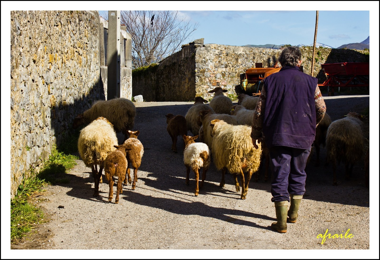 Foto afraile Quintana (Soba).