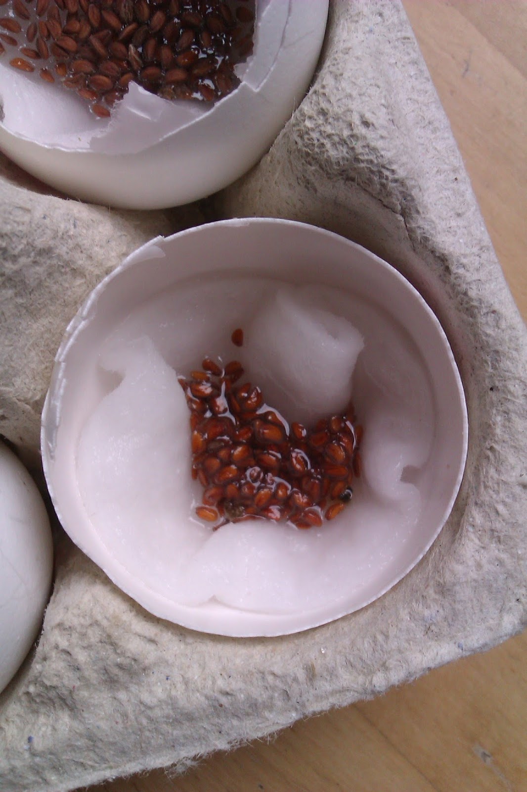 Frau Frieda: Kresse-Eier für den Osterbrunch Frau Frieda: Kresse-Eier für den Osterbrunch