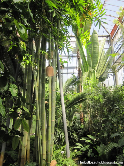 Herbstbeauty Unterwegs In Karlsruhe