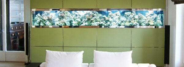 Use aquarium as a room divider – 26 examples.