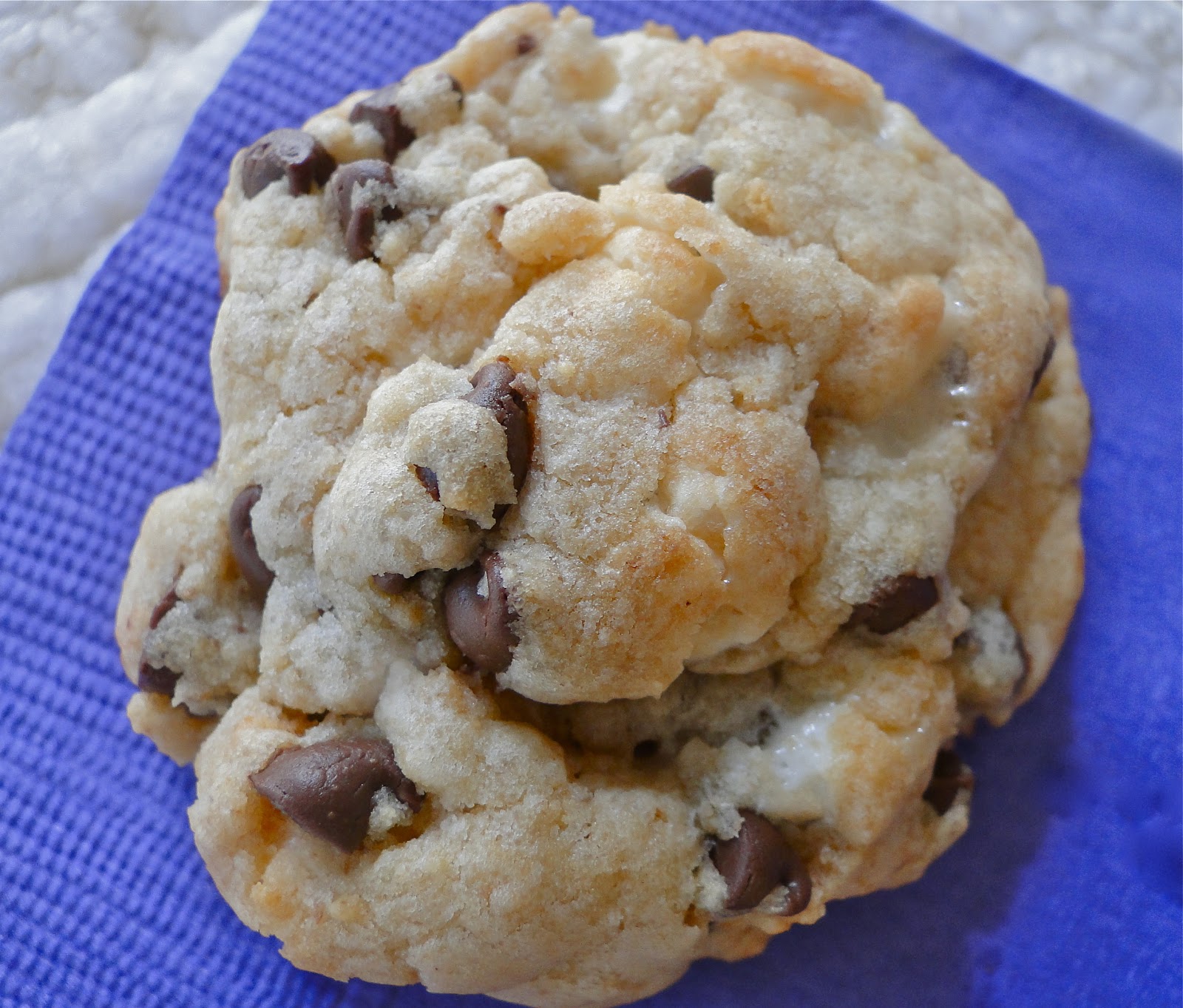 gooey s mores cookies