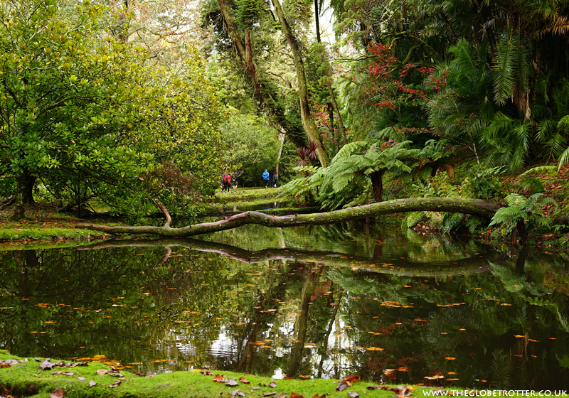 Terra Nostra Botanical Garden and Thermal Pools in the Azores