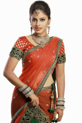 Actress Nanditha Swetha Saree Photos