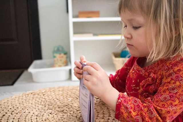 A look at some of the Montessori friendly language work we are using at home at 3-years-old