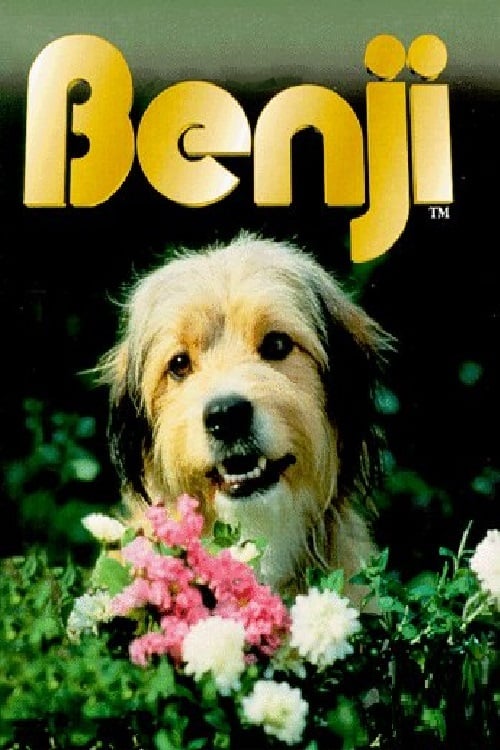 [HD] Benji 1974 Film Entier Francais