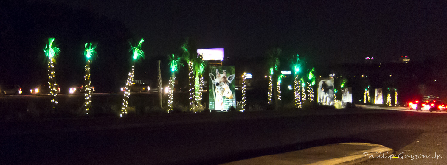 True Light Photography Riverbank Zoo's Lights Before Christmas