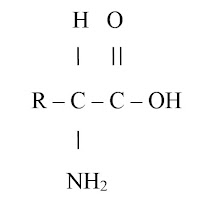 Laporan Koloid dan Senyawa Karbon 1 - Laporan Praktikum Kimia Dasar 2