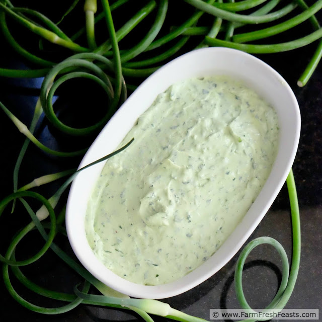 A fast and flavorful spread for appetizers or snacks, this zesty cream cheese marries fresh herbs with garlic scapes for a Spring treat. Spread this on crackers or tortillas, pipe it into peppers, or dunk a carrot for a fresh from the farm share appetizer.