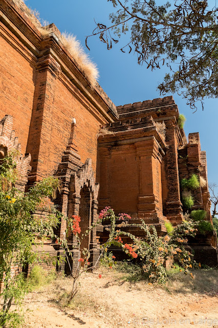 Temple Pya-Tha-Da - Bagan - Myanmar - Birmanie