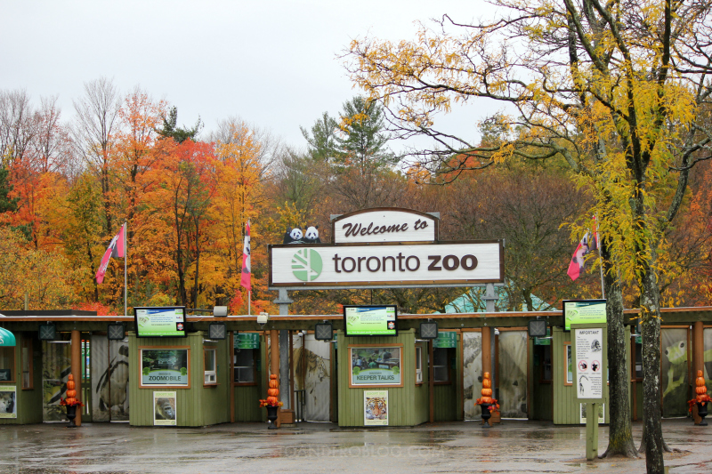 Toronto Zoo in the Fall