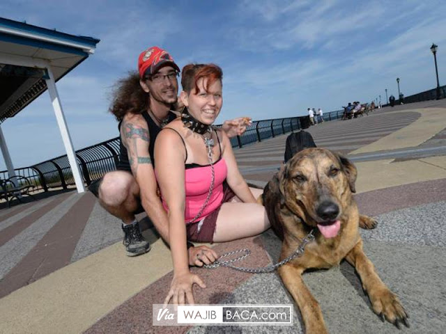 Perempuan yang Senang Diperlakukan Layaknya Anjing, Gemar Diikat dan Diseret Kemanapun! Perempuan yang Senang Diperlakukan Layaknya Anjing, Gemar Diikat dan Diseret Kemanapun!