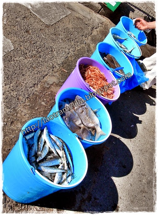 La OTRA Melilla Pescado en el