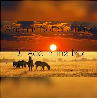 DJ Ace – Africa Is Not A Jungle Mix