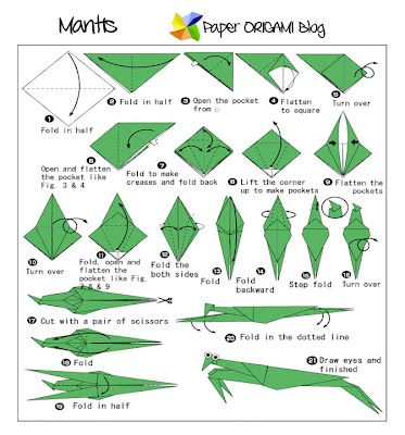 Origami Mantis Diagram