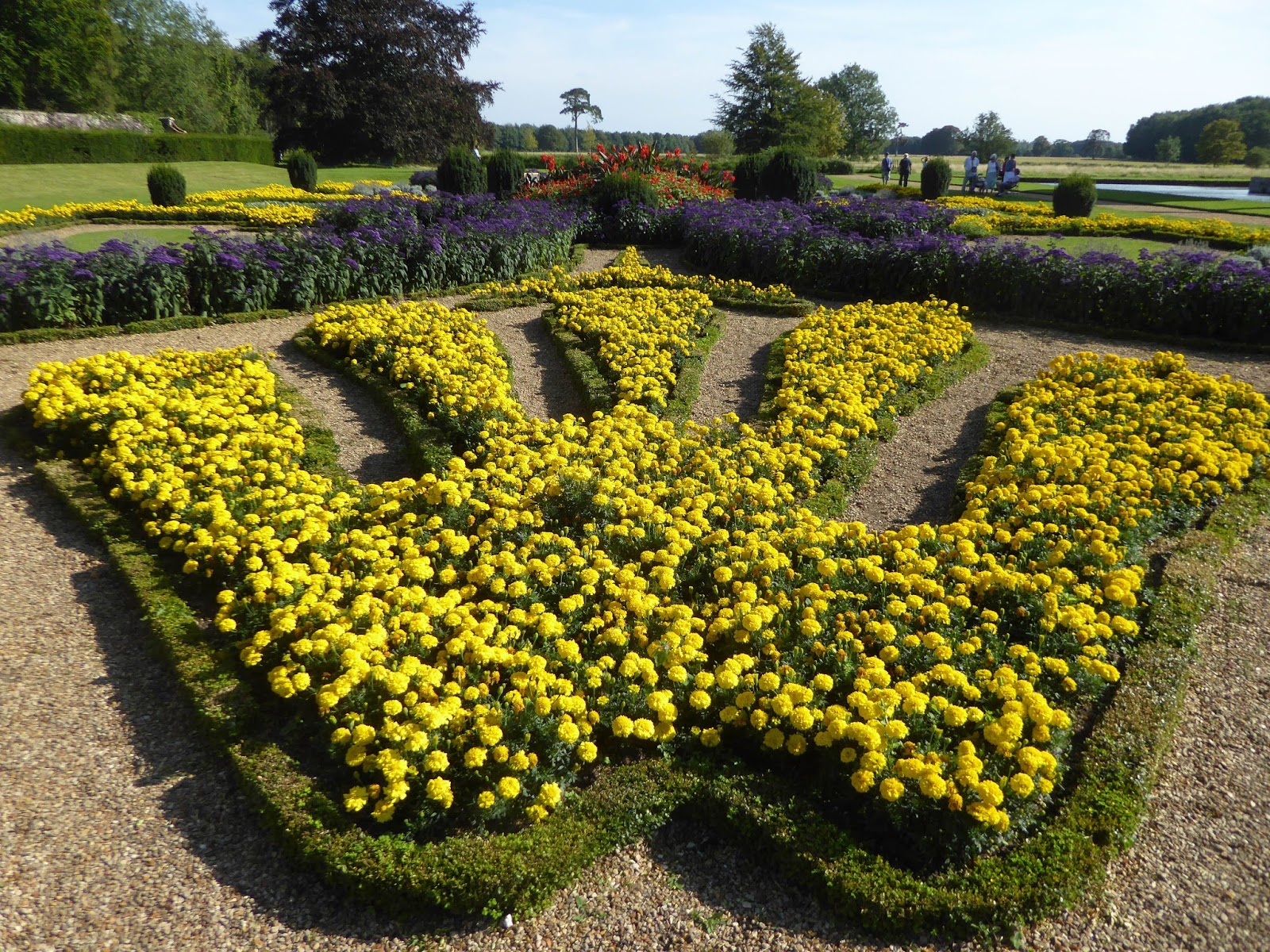 Wild and Wonderful Butterflies in the 'French Garden' at Oxburgh Hall