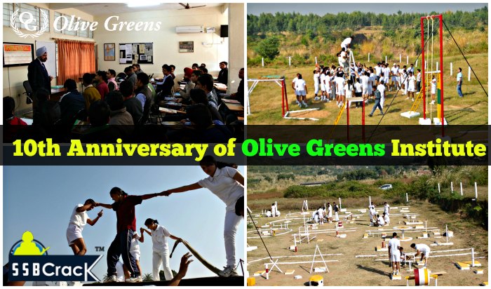 Olive Green Coaching