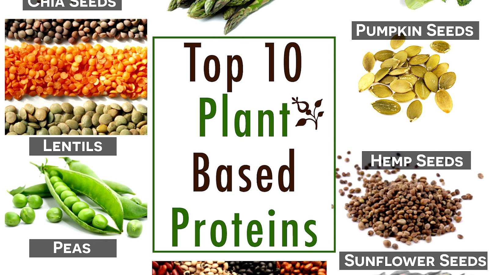 Plant Lipid Transfer Proteins Protein Choices plant-lipid-transfer-proteins-protein-choices