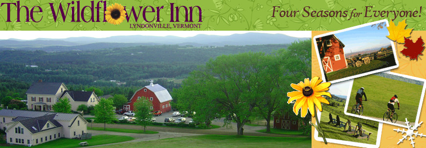vermont lesbian vermont lesbian