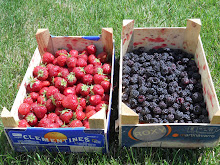 Late Spring Berries from the Patch