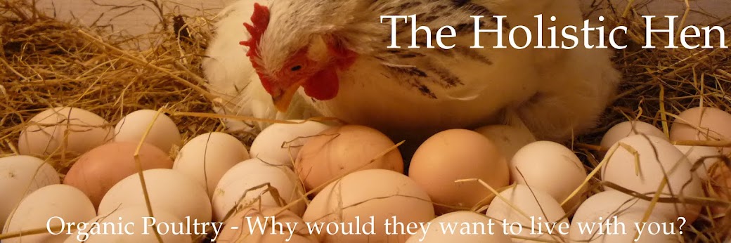The Holistic Hen - How to raise quail, chickens and pigeons organically in a food forest