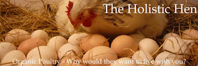 The Holistic Hen - How to raise quail, chickens and pigeons organically in a food forest