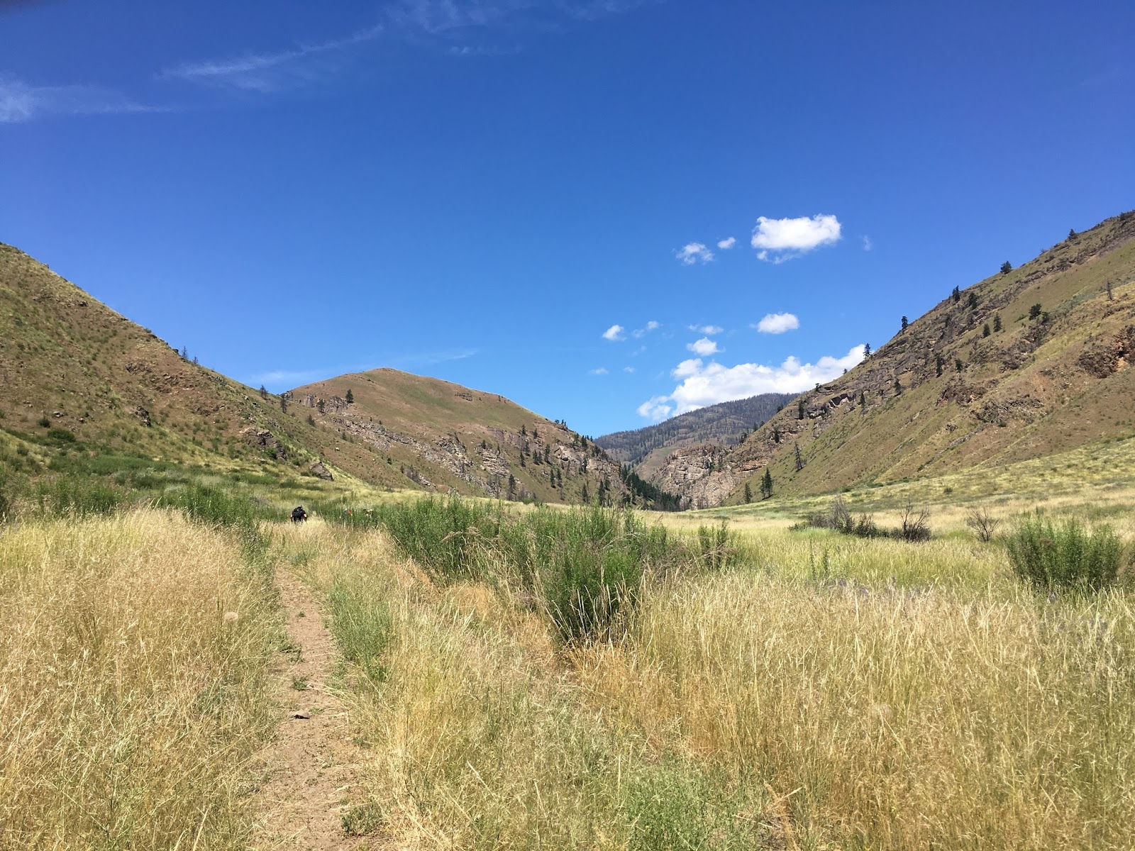 All This Is That methow valley