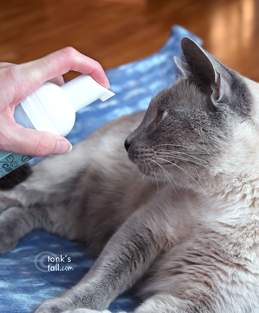 Maxie: uh, Momma, why are you pinting that Coat Cleansing Foam bottle at me?