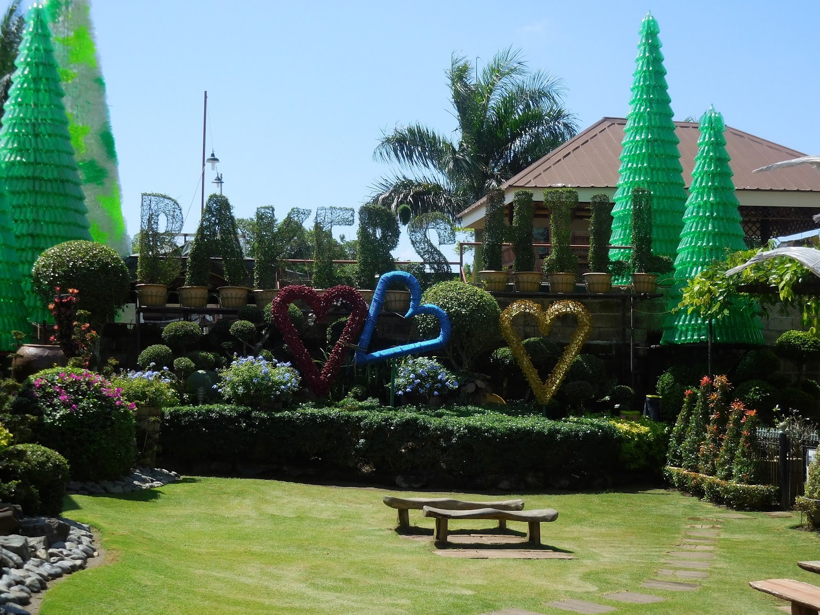 Little Red Rising Palawan Baker's Hill