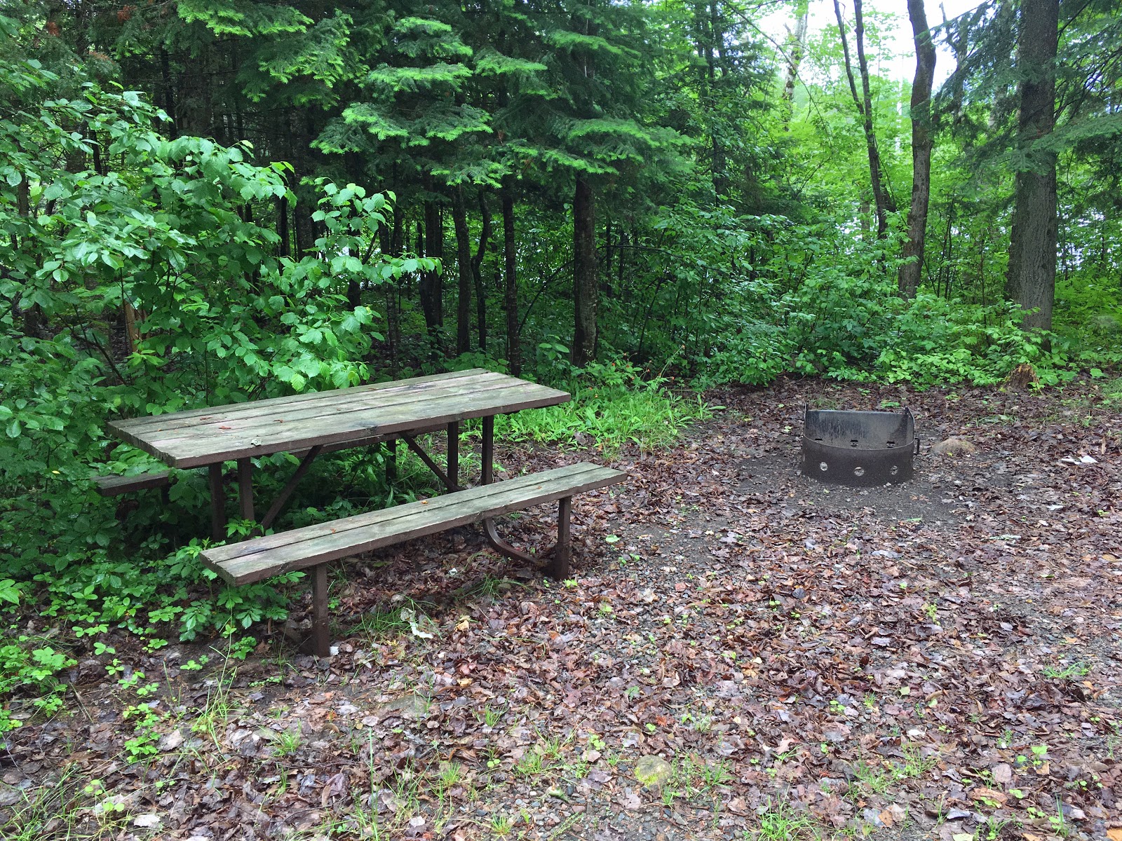 The Campsites Samuel de Champlain Ontario Provincial Park, site 122
