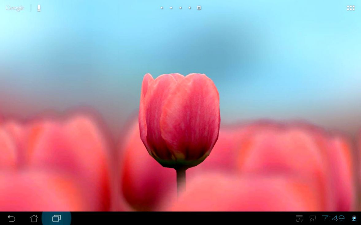 3D Tulip Live Wallpaper Free   Android Apps on Google Play
