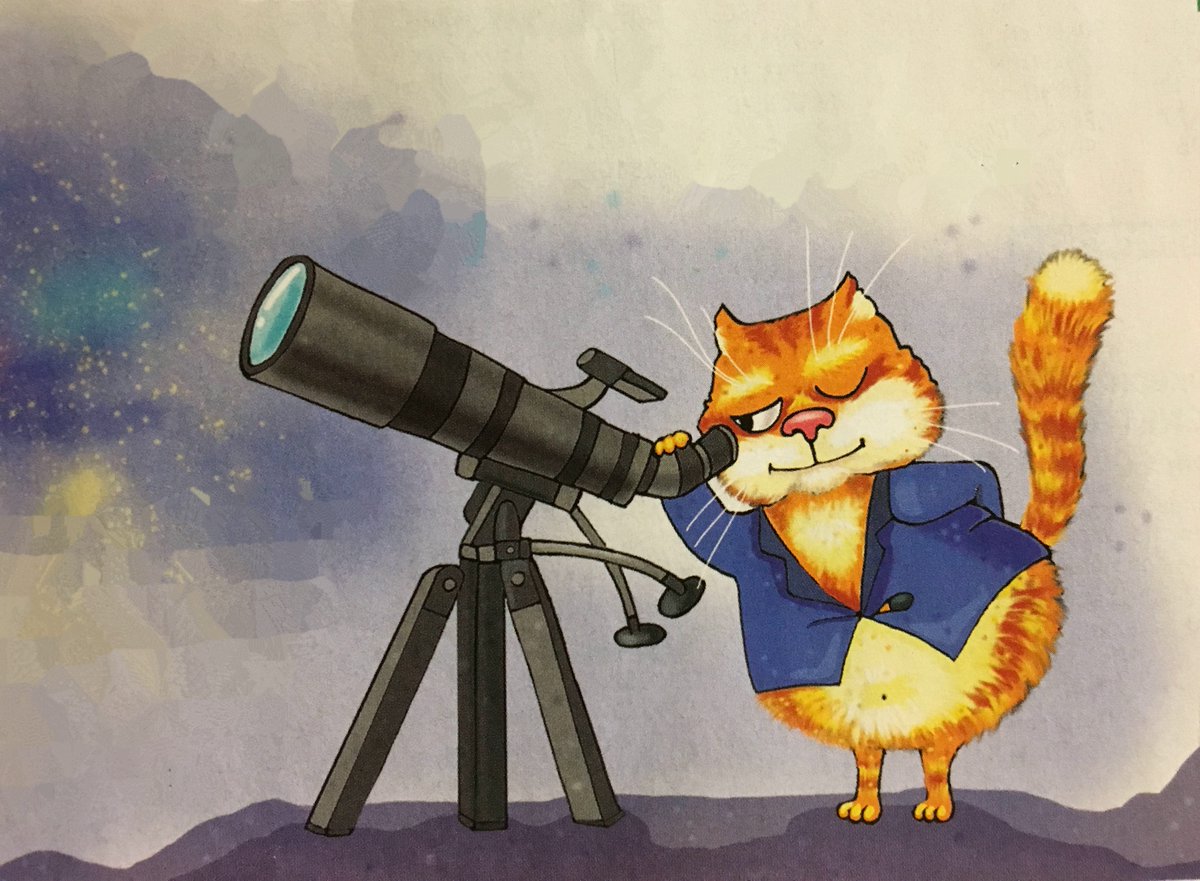 жж коте. котэ бог. блог кота моти. главный домик кота моти. жж коте.