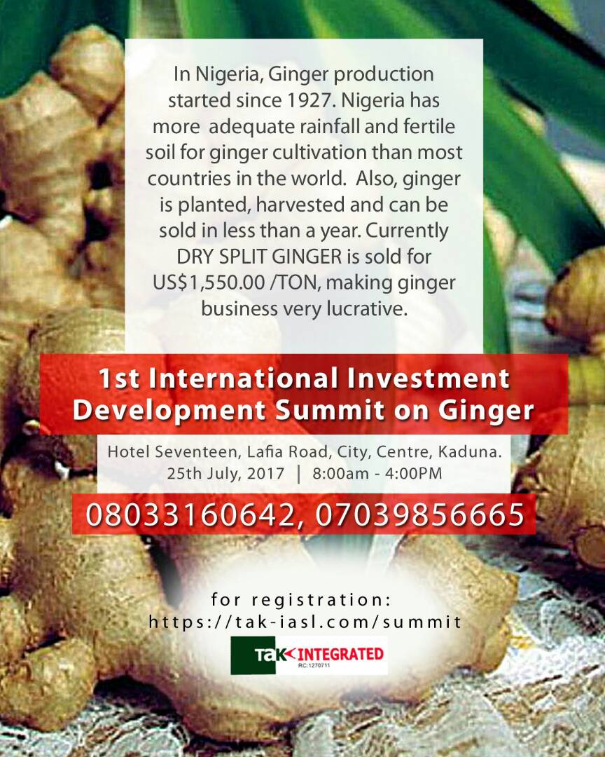 GINGER BUSINESS DEVELOPMENT AND INVESTMENT SUMMIT