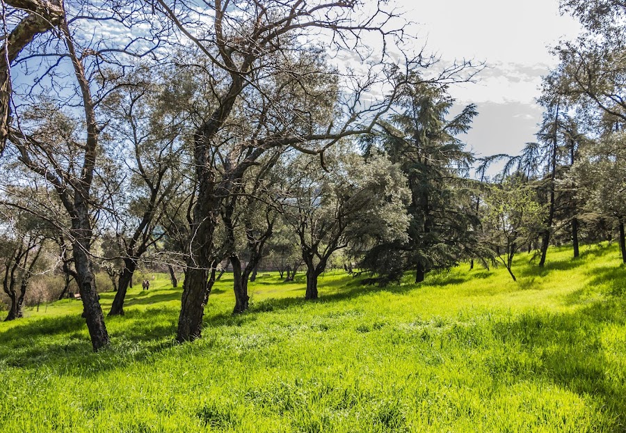 Parque Quinta de Torre Arias