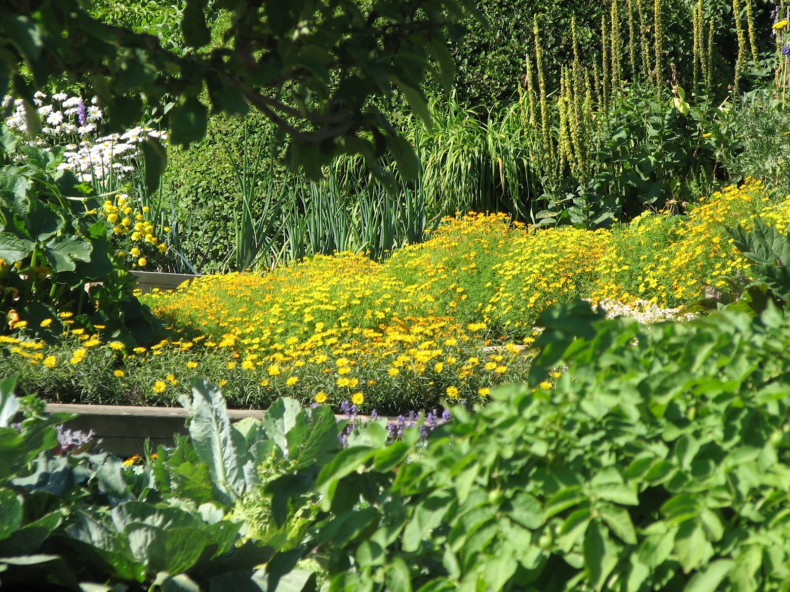 La nature à son meilleur Les jardins de QuatreVents