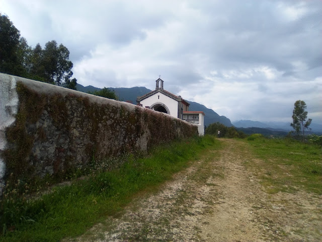 Camino del norte sola. De Buelna a Oviedo