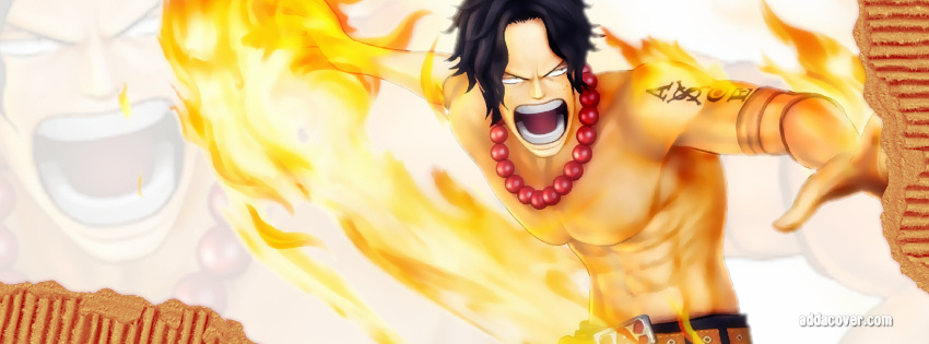Hấp Dẫn Với Những Hình Ảnh Bìa Luffy, Ảnh Bìa One Piece 6 *