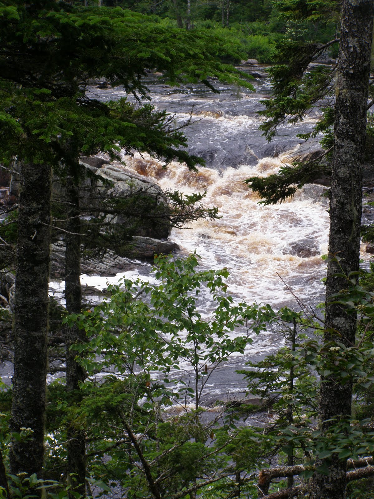 ADVNTURUNLIMITD 2011 River Trail (The Way Up)