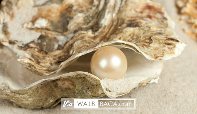 Cinta Rasul, Cinta Juga Sunnahnya! Yakin Sudah Tau Hal Ini? Cinta Rasul, Cinta Juga Sunnahnya! Yakin Sudah Tau Hal Ini?