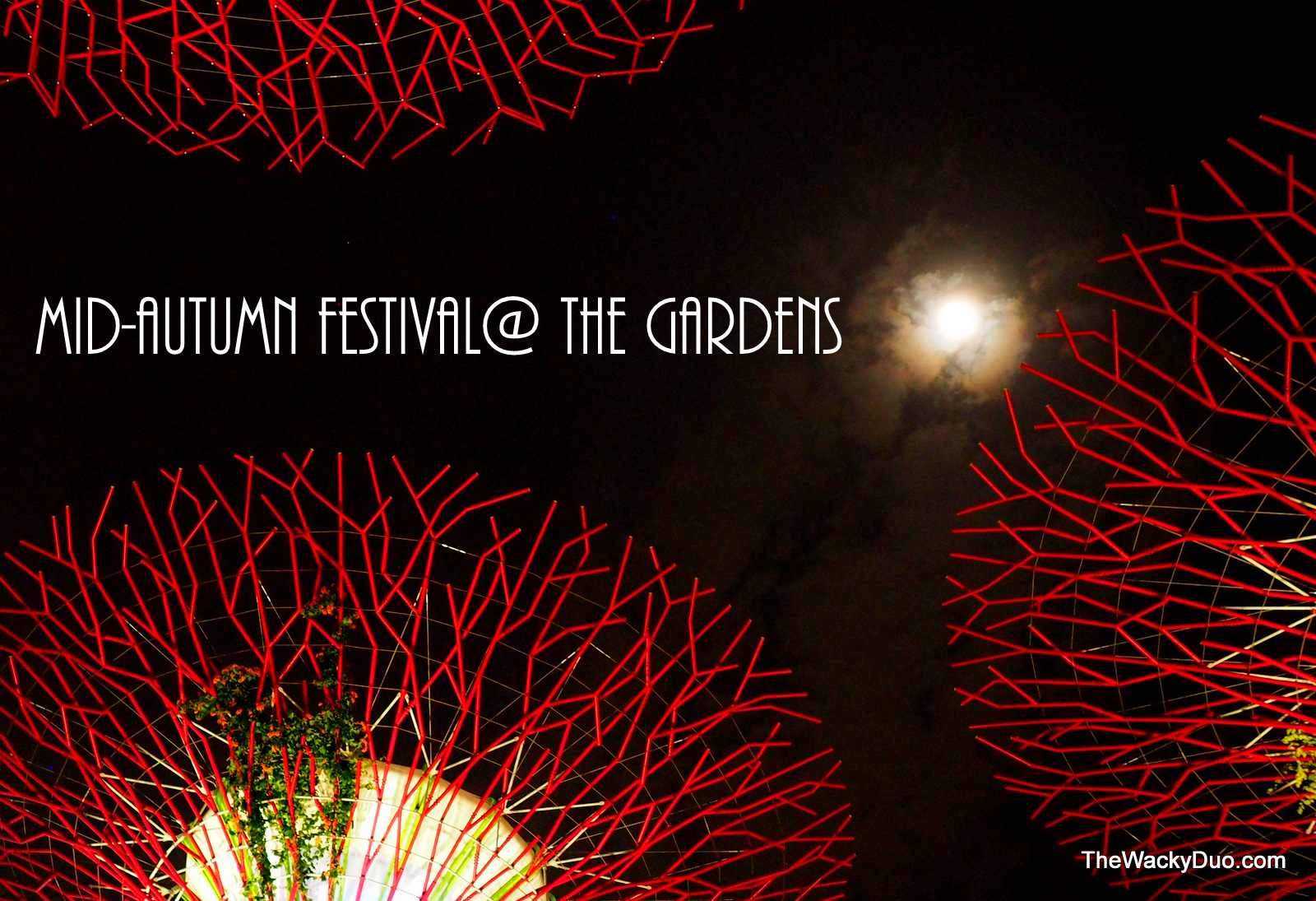 Mid Autumn Festival @ Gardens By the Bay 2014