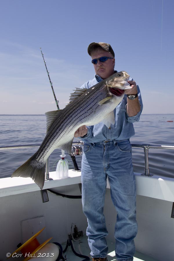 Country Captures Chesapeake Charter