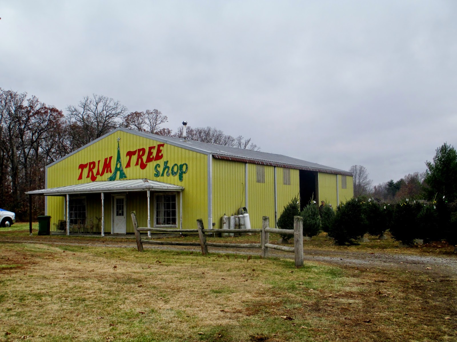Live christmas tree farms michigan