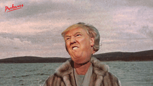 БЛОГ quot UM JEITO MANSO quot ПРОСИТ МИРА: 1 ano de Trumpalhadas