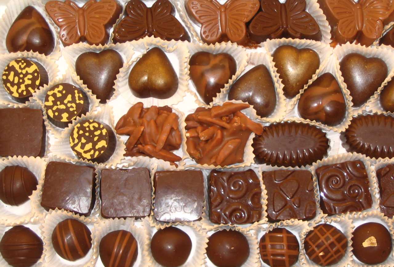 Medi Mutfakta Ocak 2012