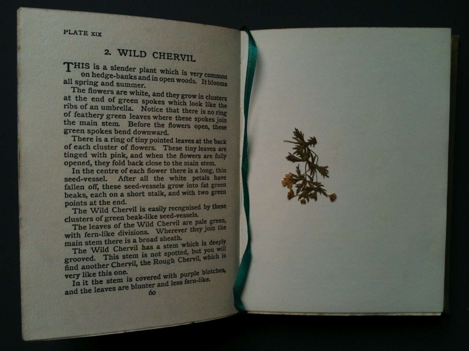 Moss Favourite flower books